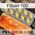 Fliban 100 new05